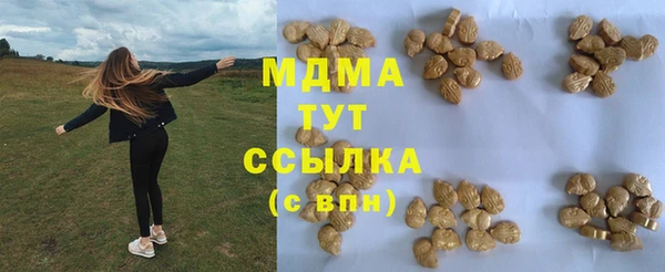 индика Арсеньев