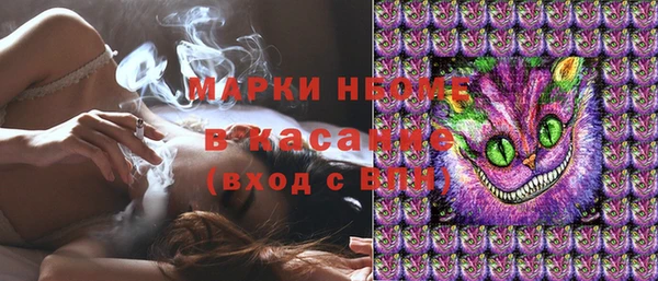 индика Арсеньев
