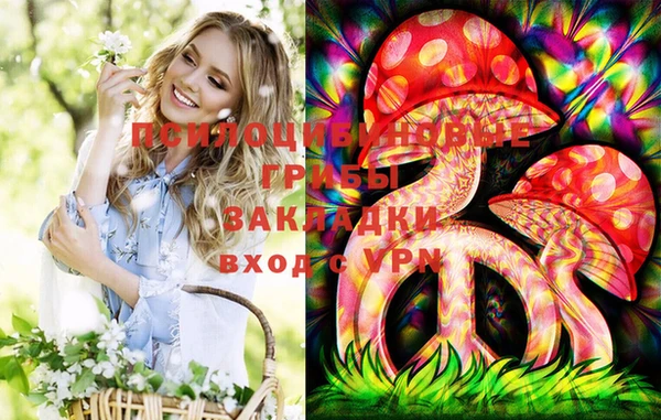 индика Арсеньев