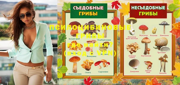 круглые Фёдоровский