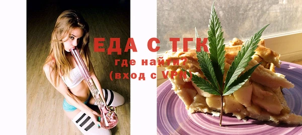 индика Арсеньев