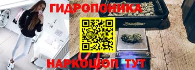 хмурый Партизанск