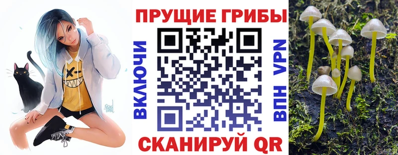 Галлюциногенные грибы мицелий наркота ОМГ ОМГ как войти Тольятти