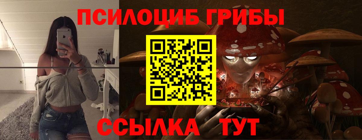 Галлюциногенные грибы Magic Shrooms Тольятти